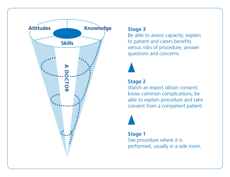 Figure 2. Example of the spiral curriculum