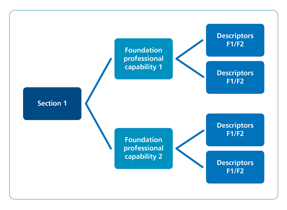 Figure 4: Illustration of the hierarchical arrangement of the syllabus: sections: foundation professional capabilities: descriptors.